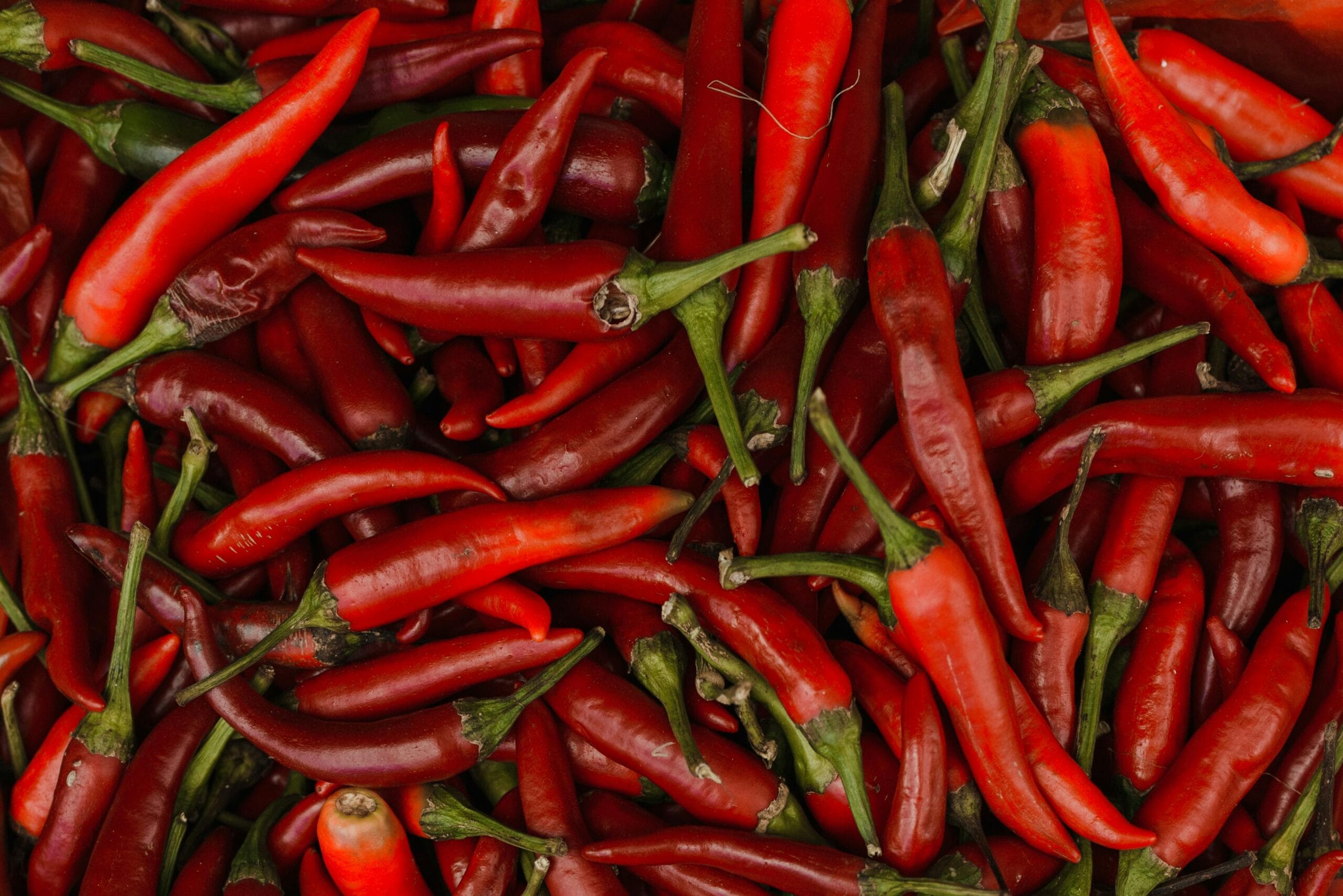 Chilliepeper Taranartos