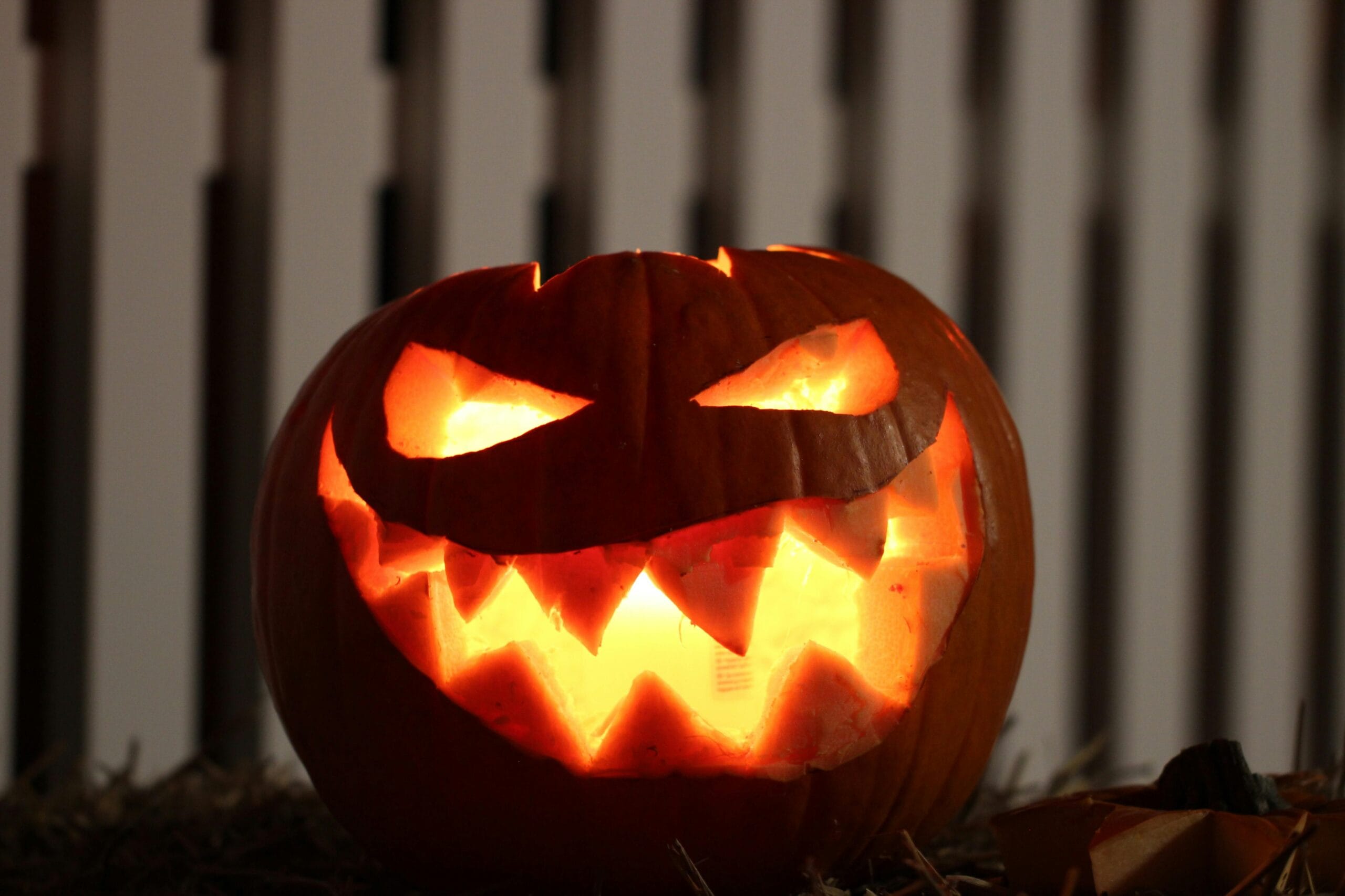 halloweenfoto