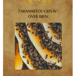 Taranartos gids IV: over bijen