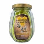 Munt eucalyptus in een glazen pot met goudkleurige deksel, aangeleverd door Taranartos, ideaal voor honing en natuurlijke remedies.