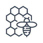 Bijenkorf met honingraat en bij, symbool voor natuurbeheer en biodiversiteit.